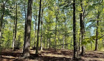 000 Lot 4 TAPPS FORD Rd, Amissville, VA 20106