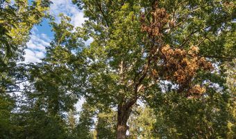 0 Brooksie Thompson Rd, Bath Springs, TN 38311