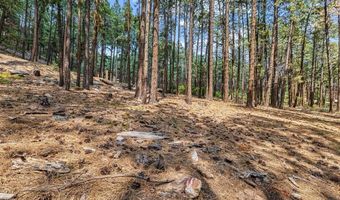 432 Blue Ridge Dr, Bayfield, CO 81122