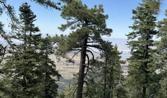 636 Mountain Center 35-0002, Mountain Center, CA 92561