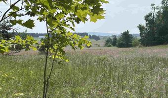 8688 Miller Rd, Alanson, MI 49706