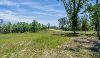 Chad Lake Rd, Alma, GA 31510