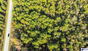 TBD I M Graham Rd, Cades, SC 29518