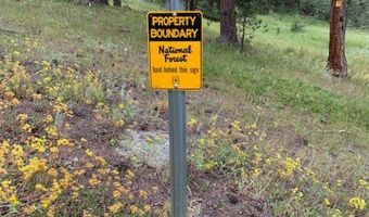County Road 59, Allenspark, CO 80510