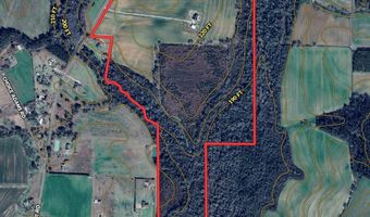 1243 Silcox Rd, Ashford, AL 36312