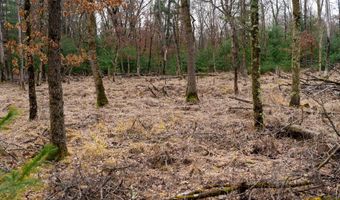 Dover Drive lot 1 14 Ac, Adams, WI 53910