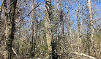 Bogue Chitto Road, Bogue Chitto, MS 39629