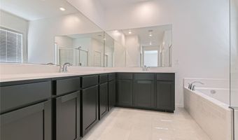517 Daphne Terrace St, Henderson, NV 89011