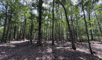 Fox Paw Court, Branchville, SC 29432