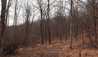 Route 12 Road, Alum Creek, WV 25003