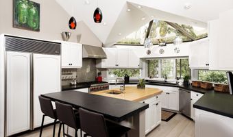 1145 Black Birch Dr, Aspen, CO 81611