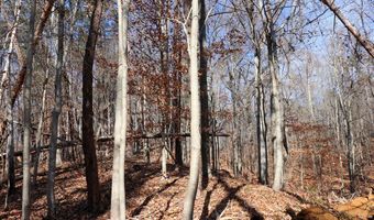 Virginia Ave lot 75, Bassett, VA 24055