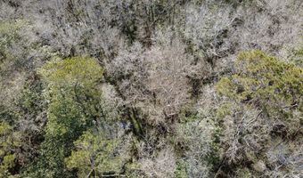 County Road 72, Ariton, AL 36311