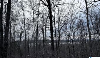 34 Acres- Mtn CONSTELLATION DRIVE Lot 34+ Acres-Mtn Tract One, Alpine, AL 35014