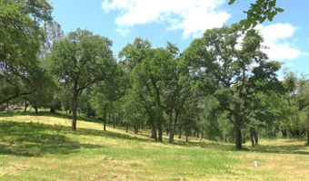 3528 Appaloosa Way, Angels Camp, CA 95222