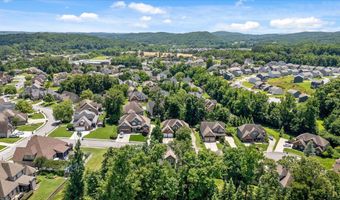 4217 Cripple Bush Ct, Apison, TN 37302