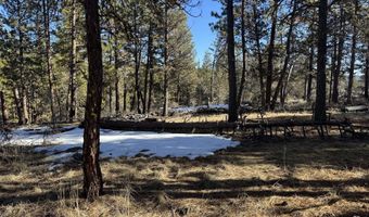 Golden Eagle Drive 30, Bonanza, OR 97623