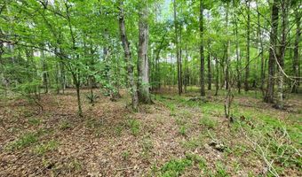 Tbd Bahalia Rd, Brookhaven, MS 39601