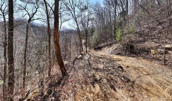 99999 Green Ridge Falls Rd 17, Barnardsville, NC 28709