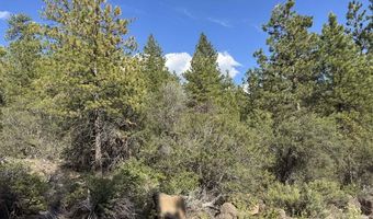 Thunderbear Road 46, Bonanza, OR 97623