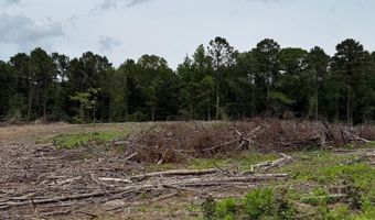 2367 346 Hwy, Amity, AR 71921