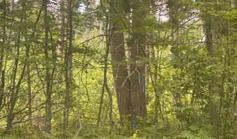 SWAN BAY Road unit 6 6, Amberg, WI 54102