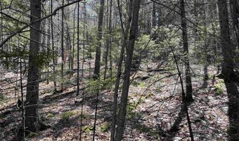 5-16 19 Boulder Dr, Campton, NH 03223