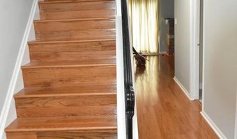 4557 KING EDWARD Ct, Annandale, VA 22003