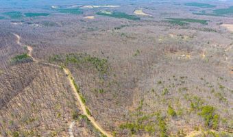 Larkin Mountain, Amherst, VA 24521