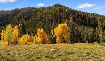 976 Wildwater Way, Almont, CO 81210