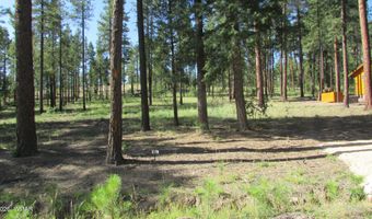 8 CR 2194, Alpine, AZ 85920