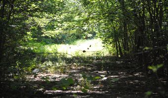 8000 E County Road 1000 S, Austin, IN 47102