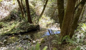 Agness-Illahe Rd, Agness, OR 97406