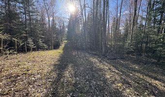 V/L Wildwood Road lot 9, Alger, MI 48610