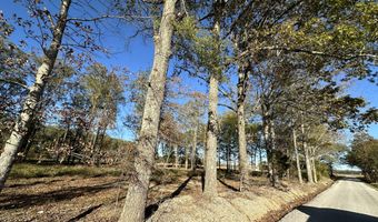 10 43ac CR 193, Blue Springs, MS 38828