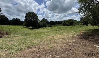 Tract 1 County Road 656, Anderson, AL 35610
