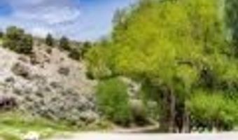 1090 W Cherry Creek Rd, Ely, NV 89301