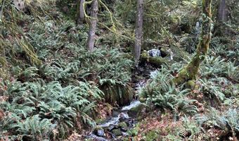 24706 NE Columbia Tie Rd 11-9, Amboy, WA 98601