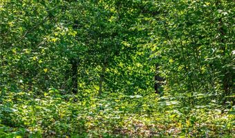 Tbd 240th Street, Akeley, MN 56433
