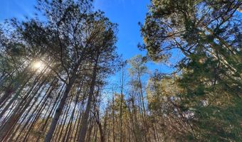 0 County Road 25, Reform, AL 35481