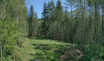 0 W Main St, Battle Ground, WA 98604