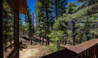 74 Vail Loop, Angel Fire, NM 87710