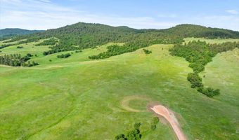 Tract 8 Lone Elk Ranch, Alva, WY 82711