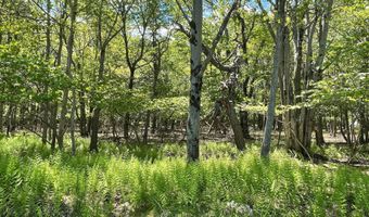 Ev805 Stony Mountain Road, Albrightsville, PA 18210