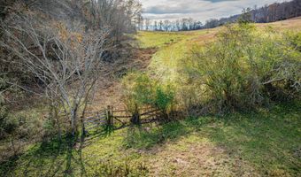 1520 Brittontown Rd, Afton, TN 37616
