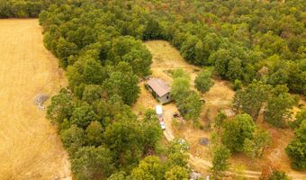 229 County Road 314, Alton, MO 65606