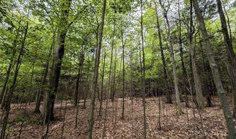 Stewart Road, Addison, NY 14801