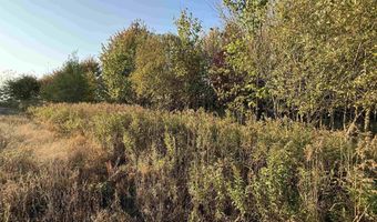 Lot 3 EAU CLAIRE RIVER ROAD, Aniwa, WI 54408