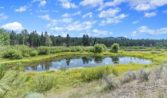 47490 Ferguson Mountain Rd, Beatty, OR 97621