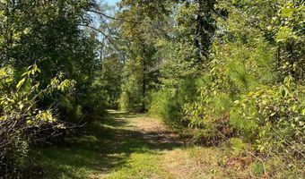 0 Nick Creek Rd, Bernice, LA 71222